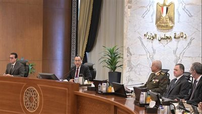 مدبولى يؤكد الحرص على توفير التسهيلات اللازمة لعمل الشركات العالمية وزيادة انخراط القطاع الخاص