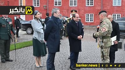 عمالقة الدنمارك في السوق المصري بعد زيارة السيسي