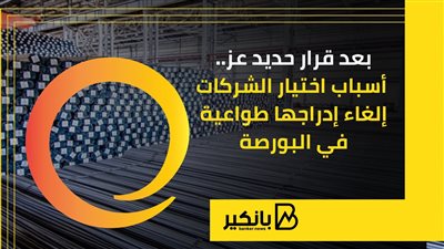 بعد قرار حديد عز.. أسباب اختيار الشركات إلغاء إدراجها طواعية في البورصة