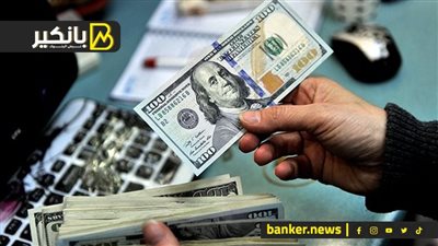 خبراء يكشفون سر ارتفاع الدولار وعلاقته بالتعويم ومصير سعر الصرف