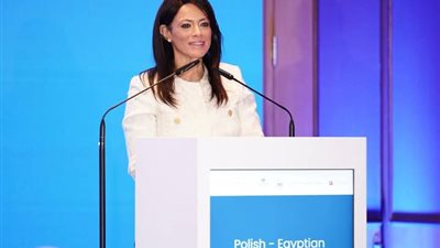 «المشاط»: تمكين القطاع الخاص وبناء اقتصاد جاذب للاستثمارات جزء رئيسي من رؤية الحكومة