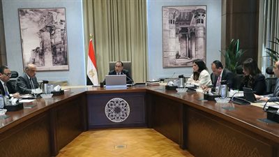 رئيس الوزراء يُتابع إجراءات طرح محطة جبل الزيت لتوليد الكهرباء من طاقة الرياح