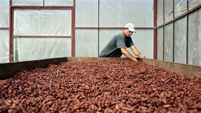 الكاكاو يتصدر ارتفاع أسعار السلع الأساسية العالمية للعام الثاني