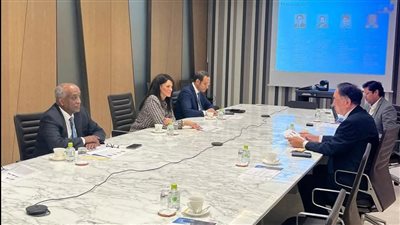 المشاط: توطين الصناعة وجذب الاستثمار المباشر على رأس أولويات الحكومة