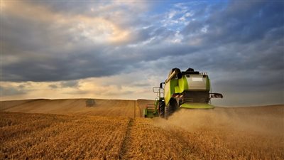 ارتفاع عقود القمح الفرنسي بعد شراء جهاز مستقبل مصر 200 ألف طن من باريس