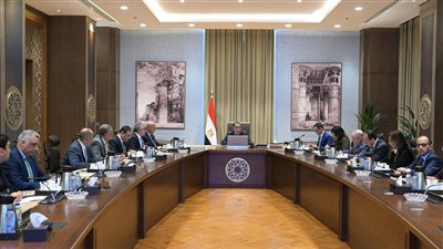  مشروع للطاقة المتجددة وإنشاء منطقة اقتصادية.. مدبولي يناقش الهيكل التنظيمي لمنطقة 