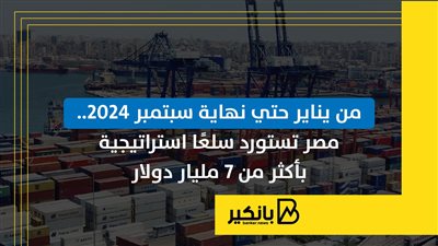 مصر تستورد سلعًا استراتيجية بأكثر من 7 مليار دولار