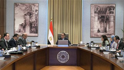 رئيس الوزراء يُتابع الموقف التنفيذي لعدد من مشروعات قطاع الكهرباء