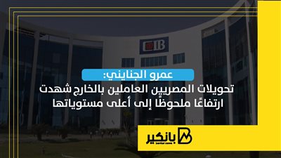 عمرو الجنايني: تحويلات المصريين العاملين بالخارج شهدت ارتفاعًا ملحوظًا إلى أعلى مستوياتها