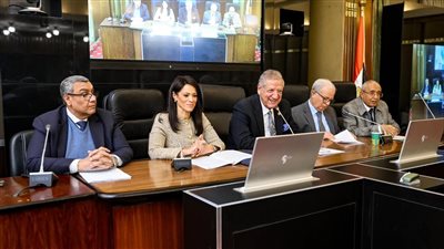 المشاط: 14.5 مليار دولار تمويلات تنموية للقطاع الخاص من شركاء التنمية منذ 2020