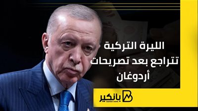 الليرة التركية تتراجع بعد تصريحات أردوغان