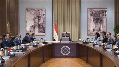 مدبولي يشيد بارتفاع معدلات تحويلات المصريين في الخارج بفضل وجود سعر صرف