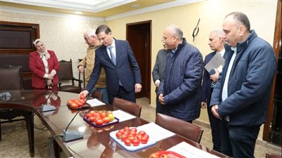 بذور مصرية.. 