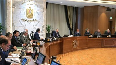 مدبولي يؤكد استمرار الحكومة في تعزيز الاستقرار الاقتصادي واحتواء الضغوط التضخمية