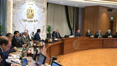 الحكومة تقرر مد فترة توفيق الأوضاع للمحال التي لديها رخص سارية حتى 7 ديسمبر 2026