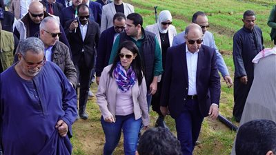 المشاط: 62 مليار جنيه استثمارات لتنمية محافظات الصعيد بخطة العام المالي الجاري