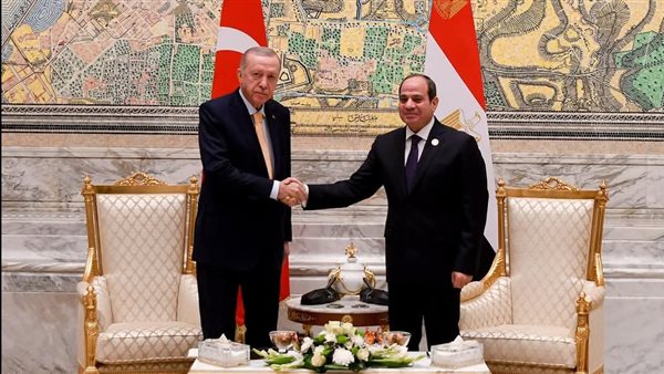 السيسي وأردوغان