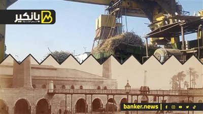 «التموين» تعلن تشغيل كامل خطوط الإنتاج بمصنع سكر أبو قرقاص