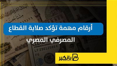 أرقام مهمة تؤكد صلابة القطاع المصرفي المصري | إنفوجراف
