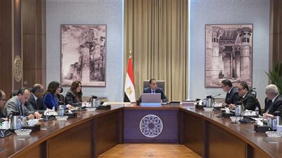 مدبولي: فض التشابكات المالية آلية رئيسية لتعزيز قدرات الجهات المُستحقة للمديونيات على أداء مهامها