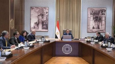 مدبولي يلتقي رئيس أكبر شركة صينية لتصنيع إطارات السيارات لبحث إنشاء مشروعين جديدين في مصر 