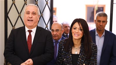 المشاط: إيقاف تشغيل محطات كهرباء بقدرة 1200 ميجاوات تعمل بالطاقة الحرارية