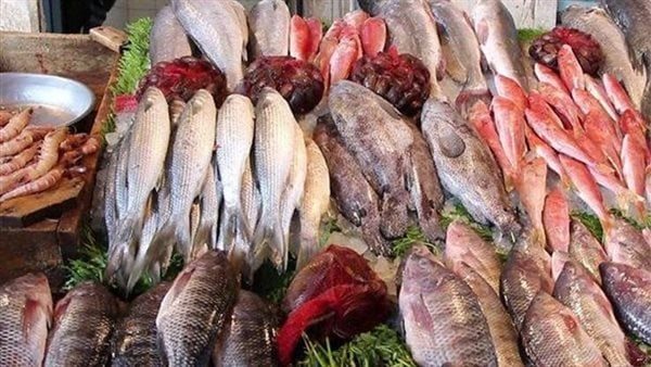 الفراخ والسمك رخصوا..