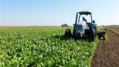 تمويل المشروعات الزراعية بسعر فائدة مميز.. سجل الآن للحصول على القرض وبدء مشروعك