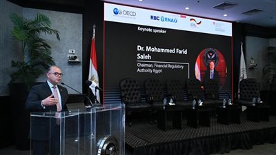 فريد: الرقابة المالية تولي أهمية قصوى لدفع جهود الاستدامة في القطاع المالي غير المصرفي