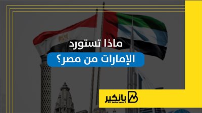 ماذا تستورد الإمارات من مصر؟ | إنفوجراف