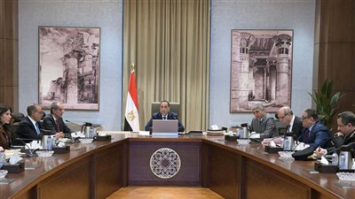 مدبولي يكلف بإعداد خطة لتسهيل وصول السائحين الأجانب للمطارات اعتمادا على أحدث النظم الالكترونية