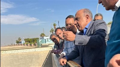 عصمت: إطالة عمر محطة توليد كهرباء السد العالي وزيادة القدرة الإنتاجية لتوفير 269 مليون دولار وفرا سنويا