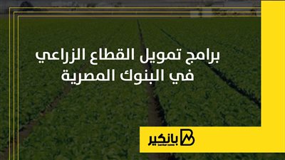 برامج تمويل القطاع الزراعي في البنوك المصرية | إنفوجراف