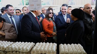 وزيرا التنمية المحلية والتموين ومحافظ القاهرة يفتتحون سوق اليوم الواحد بالزيتون