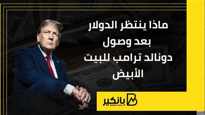 ماذا ينتظر الدولار بعد وصول دونالد ترامب للبيت الأبيض | إنفوجراف
