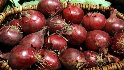 إنخفاض البصل.. أسعار الخضروات والفاكهة اليوم الخميس 23-1-2025 