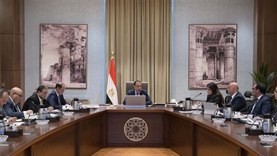 مدبولي يتابع الجهود والرؤية المستقبلية لجهاز تنمية المشروعات المتوسطة والصغيرة ومتناهية الصغر