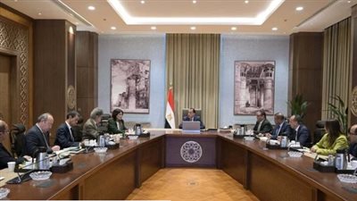 رئيس الوزراء: افتتاح المتحف المصري الكبير و