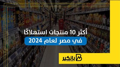 أكثر 10 منتجات استهلاكا في مصر لعام 2024 | إنفوجراف