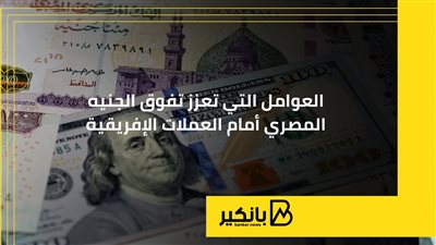 العوامل التي تعزز تفوق الجنيه المصري أمام العملات الإفريقية| إنفوجراف