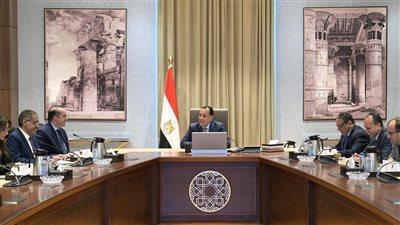 مدبولي: التحديات الحالية تستدعي استمرار التواصل مع 