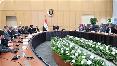 وزير الصناعة يستعرض عدد من التيسيرات مع وفد من 9 شركات تركية