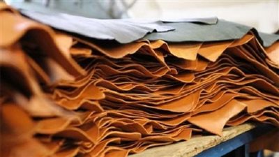 مصر هتبقي مركز إقليمي لصناعة حيوية.. حكاية التحالف المصري التركي الصيني الجديد