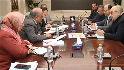 وزيرا الكهرباء وقطاع الأعمال العام يبحثان سبل التعاون في مجال الطاقة المتجددة والتحول الأخضر