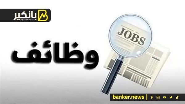 فرص عمل حكومية..