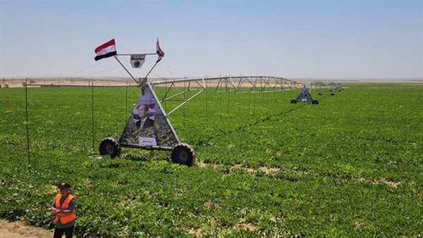 حسن علام القابضة