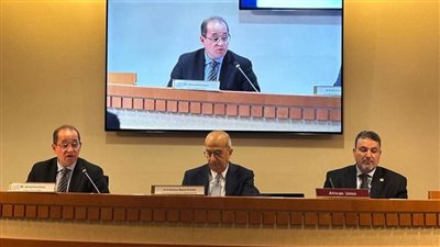 وزير المالية يطرح الأولويات المصرية لمعالجة تحديات الديون وتمويل التنمية بأفريقيا 