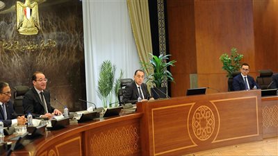 وزيرا المالية والاستثمار: السماح للشركات بإنشاء مراكز خدمات لوجستية لتداول وتوزيع البضائع