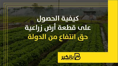 كيفية الحصول على قطعة أرض زراعية حق انتفاع من الدولة | إنفوجراف