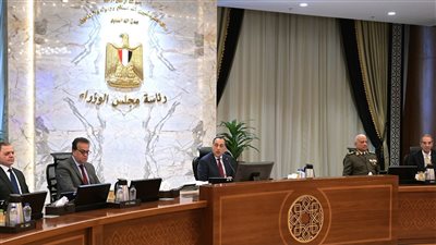 مدبولى: فرصا استثمارية واعدة في قطاع الطاقة بمصر